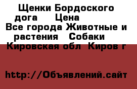 Щенки Бордоского дога.  › Цена ­ 30 000 - Все города Животные и растения » Собаки   . Кировская обл.,Киров г.